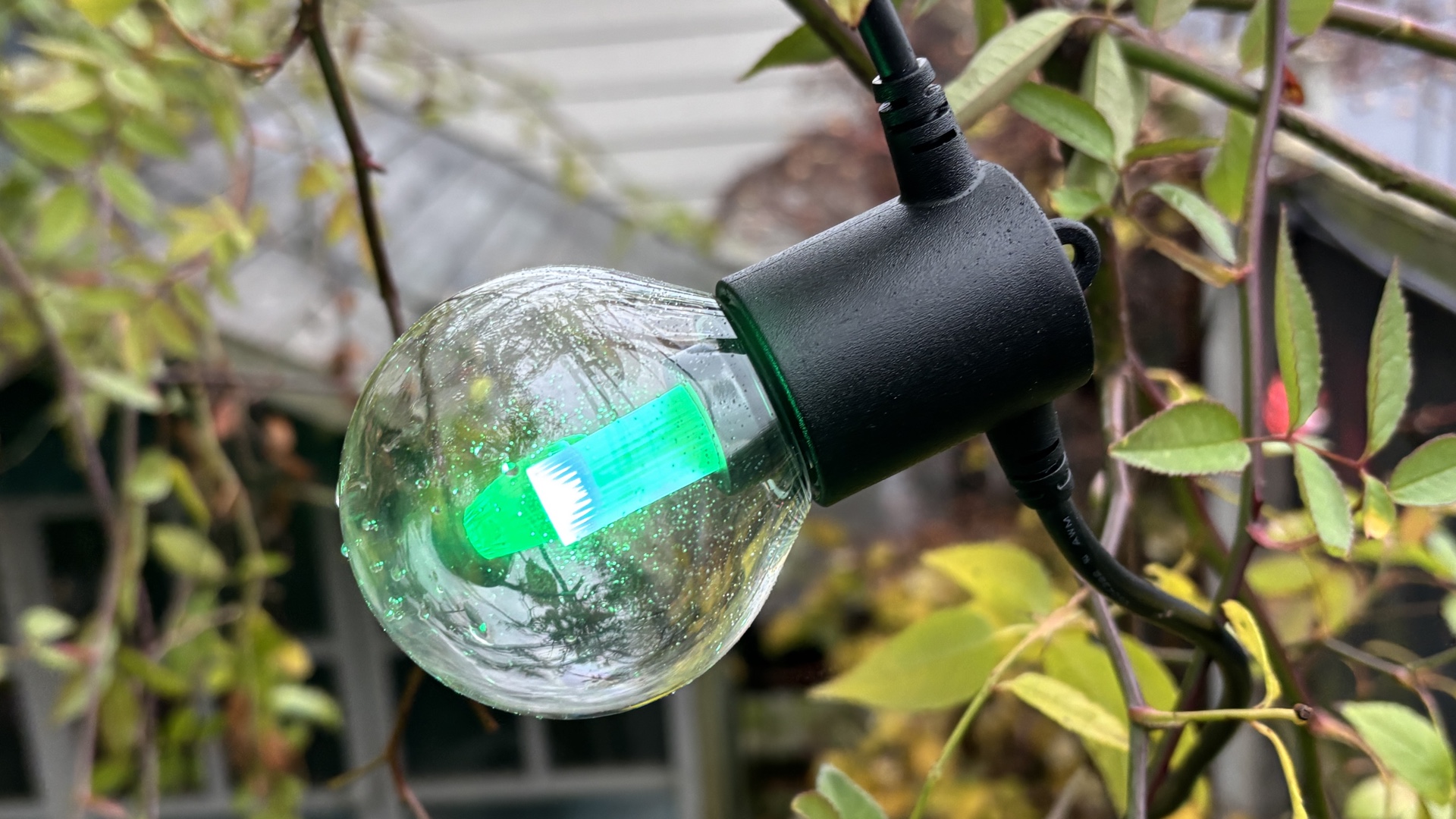 Philips Hue Festavia Globe Outdoor String Lights review Philips Hue Festavia Globe Outdoor String Lights review