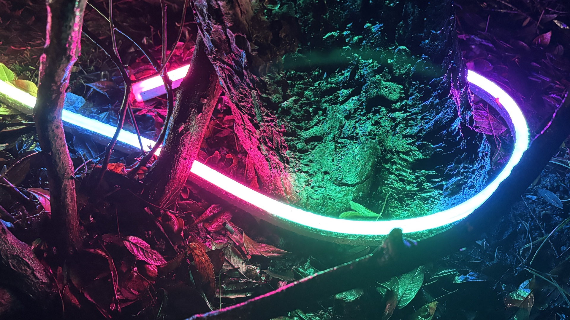 Philips Hue Neon Outdoor Strip Light review