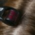 DKNY Holiday 2025 Embraces Snowy Style